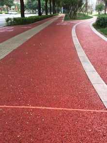 南寧透水混凝土與生態(tài)假山施工 材料生產與地坪承接報價