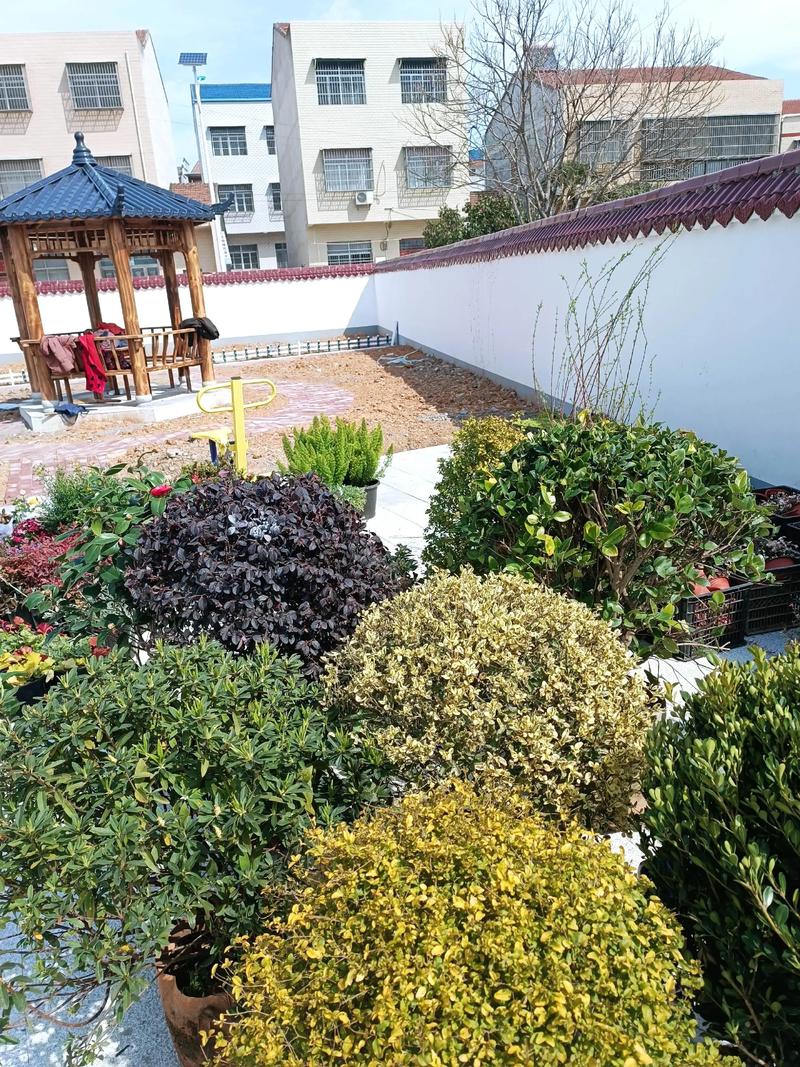 單位綠化施工現(xiàn)場(chǎng)紀(jì)實(shí) 園林景觀中的假山營造藝術(shù)